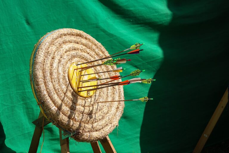 Cricket’s Contribution to Disaster Relief Efforts