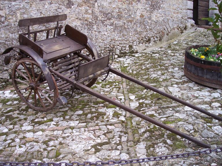 The Influence of Historical Figures on Eyewear Trends: Allpaanel, Laser247 com app login, Yolo 247 com login