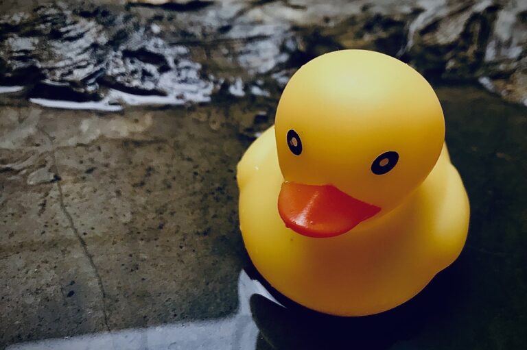 How to Incorporate Cultural Awareness into Cricket Training: Tigerexchange 247.com, Golden 77.com, Sky 99 exch com login