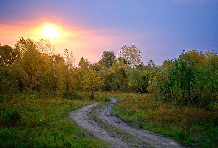 Regulatory Considerations for Automotive Data Transparency Measures: Cricbet.99, Sky1exchange, Cricbet99 reddy anna