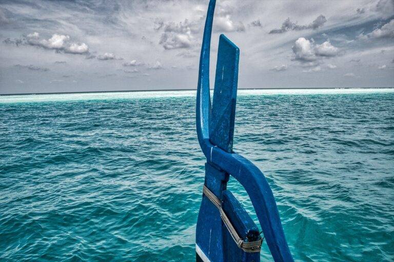 The Role of Financial Advisors in Political Campaigns: Goldbet.com login, Tigerexch247, Betbook247 id