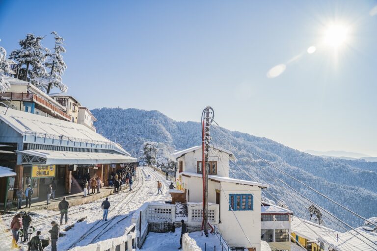 Case Studies: Political Fund Mismanagement: Goldbet6, Tigerexch, Betbook247 app