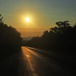 Analyzing the Regulatory Impact of Automotive Data Residency Compliance: Cricbet99, Sky99exch, Reddy club book