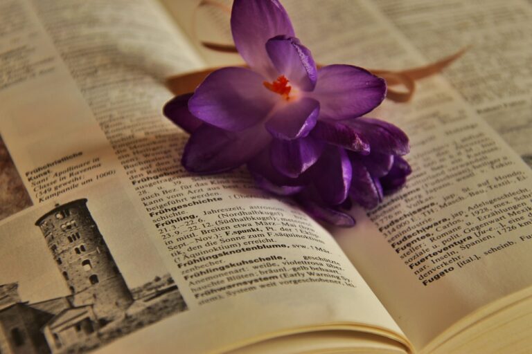 The Role of Continuing Education in the Chemical Industry: 11xplay reddy login password, 24 betting login india sign up, Skyinplay.com login