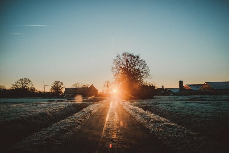 Regulatory Implications of Automotive Data Access Request Procedures: Cricbet99 register, Sky1exchanges id, 11xplay reddy anna