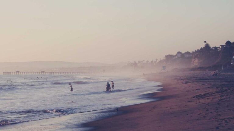 How To Add Bank Account In Cricbet99 Profile?