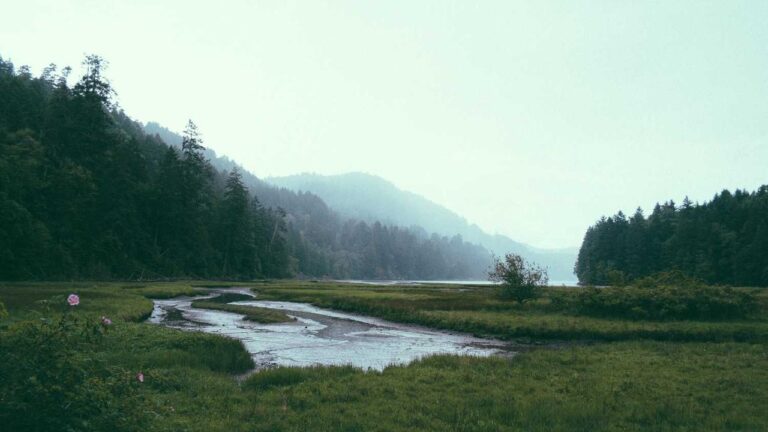 Who Are The Key People On The 11Xplay Team In India?